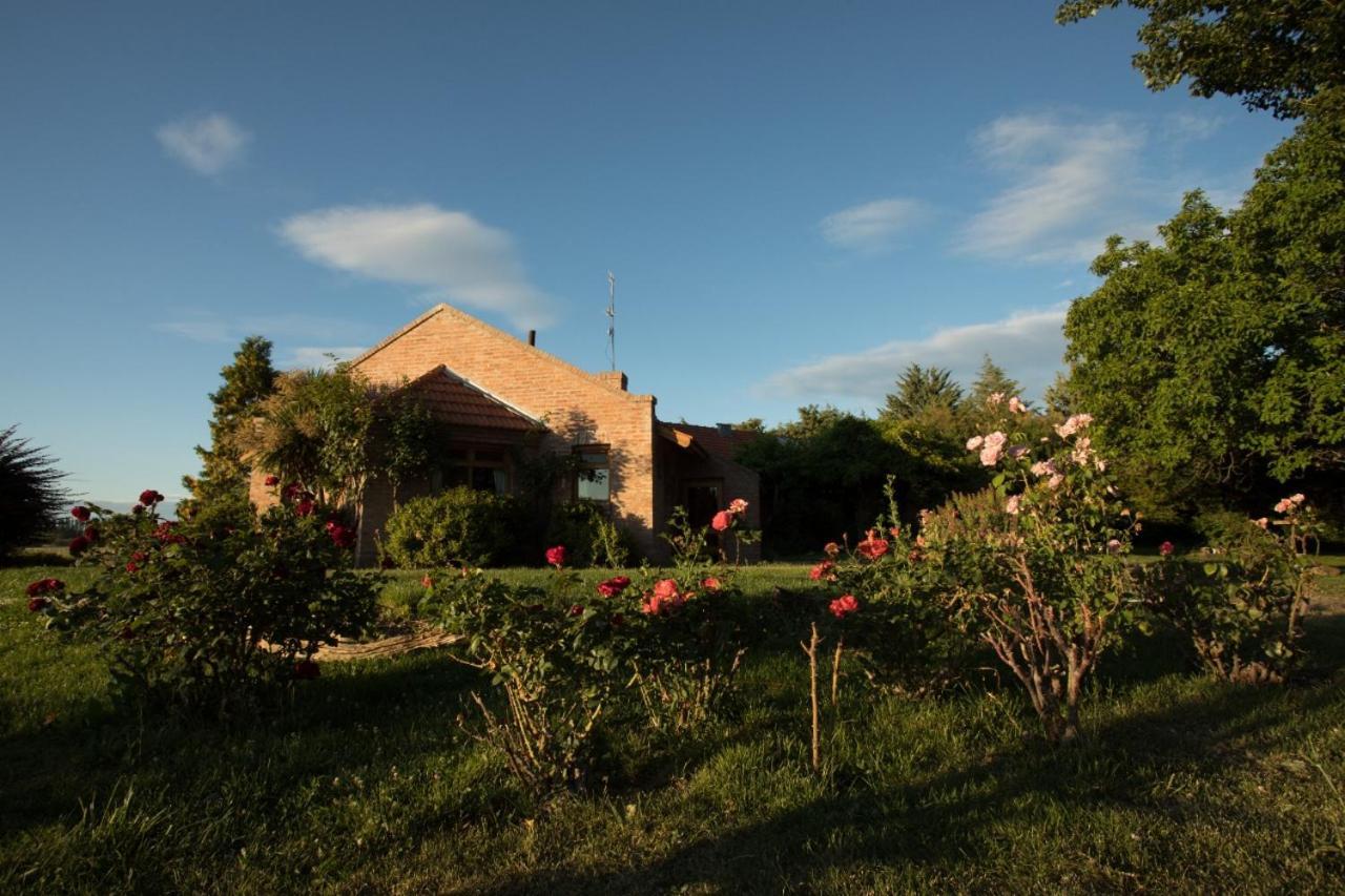 Posada Los Mimbres Gaiman Εξωτερικό φωτογραφία